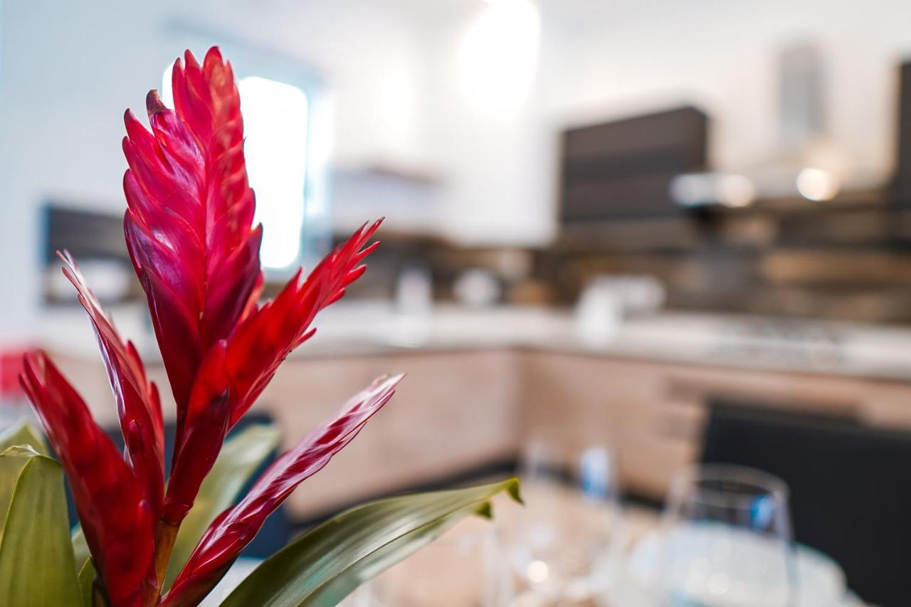 Narcisone Holiday Home Kerċem 外观 照片